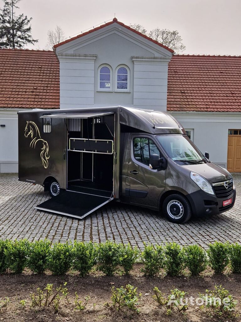 Renault Master horse transporter