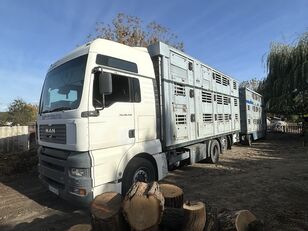 MAN TGA 26.440 livestock truck + livestock trailer