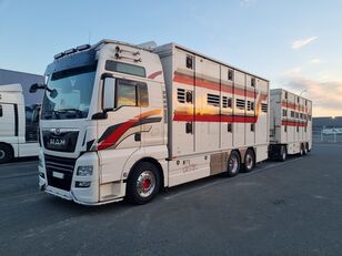 MAN TGX 26.510 2 étages bovins + remorque bétaillère livestock truck