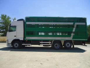 Volvo FH 480 livestock truck