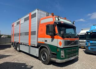 Volvo FM 380  livestock truck