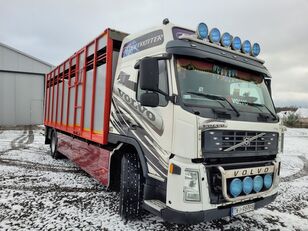 Volvo FM 9 300 livestock truck