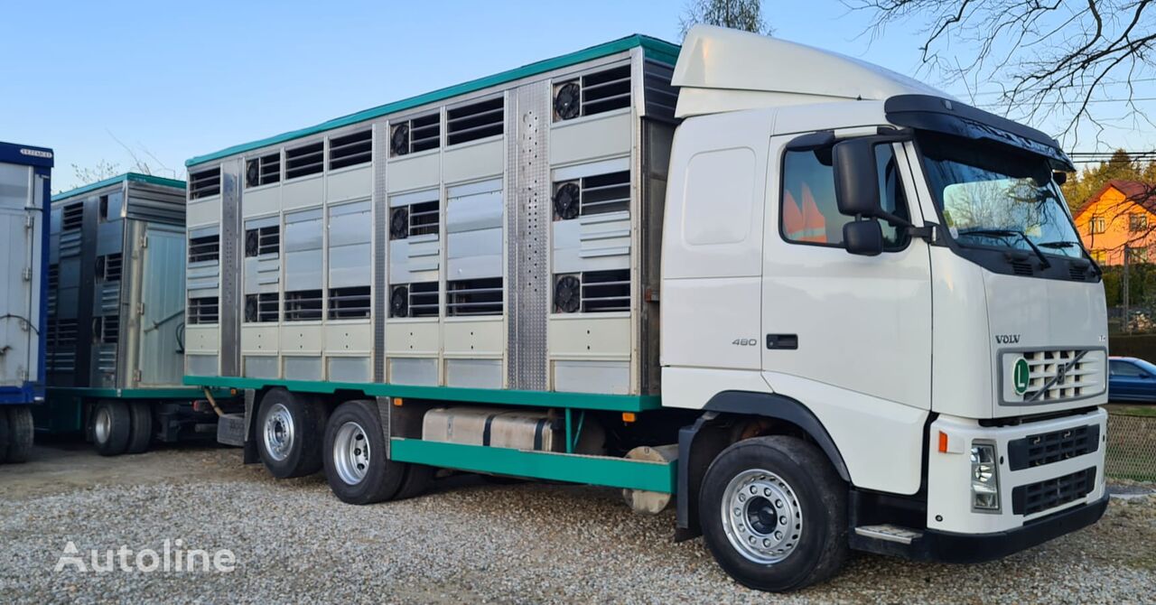 VOLVO FH 480 IRMA livestock truck