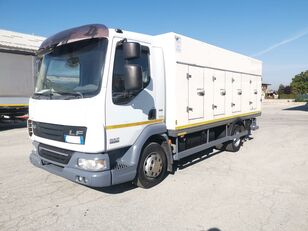 DAF 45.220 SURGELATI EURO 5 /ATP 2024 refrigerated truck